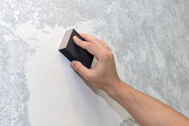 Best Dehumidification Services  in Fordoche, LA