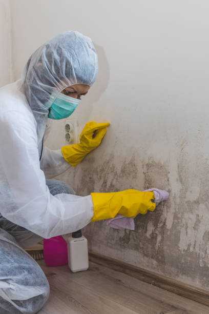 Best Residential Mold Inspection & Testing  in Fordoche, LA