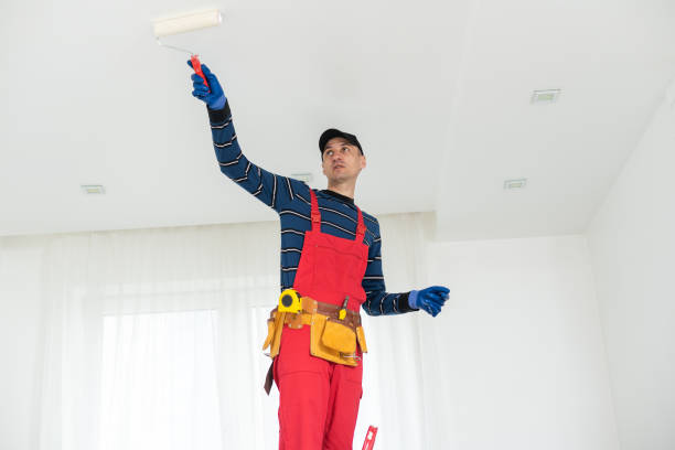Best Mold Prevention Services  in Fordoche, LA