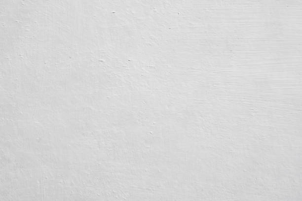 Best Black Mold Removal  in Fordoche, LA
