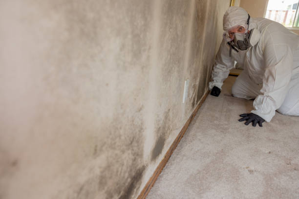 Best Air Quality Testing for Mold Spores  in Fordoche, LA